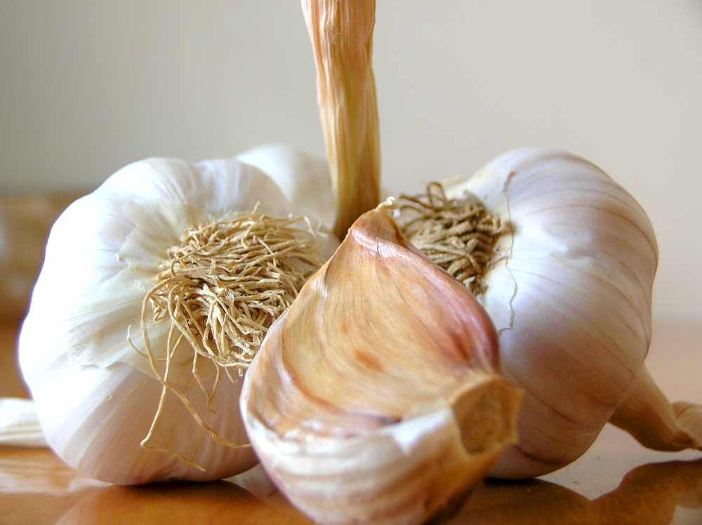Garlic Cooking Tips, Facts, Storage, Substitutions, and Health