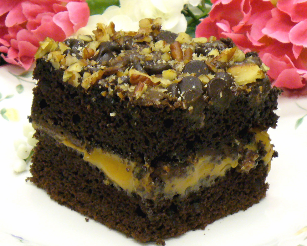 Luscious Shortcut Turtle Cake is loaded with chocolate, caramel, and pecans. Fast and easy to make.