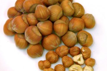 Hazelnut cooking tips, measures, and substitutions. Hazelnuts are also known as filberts or cobnuts.