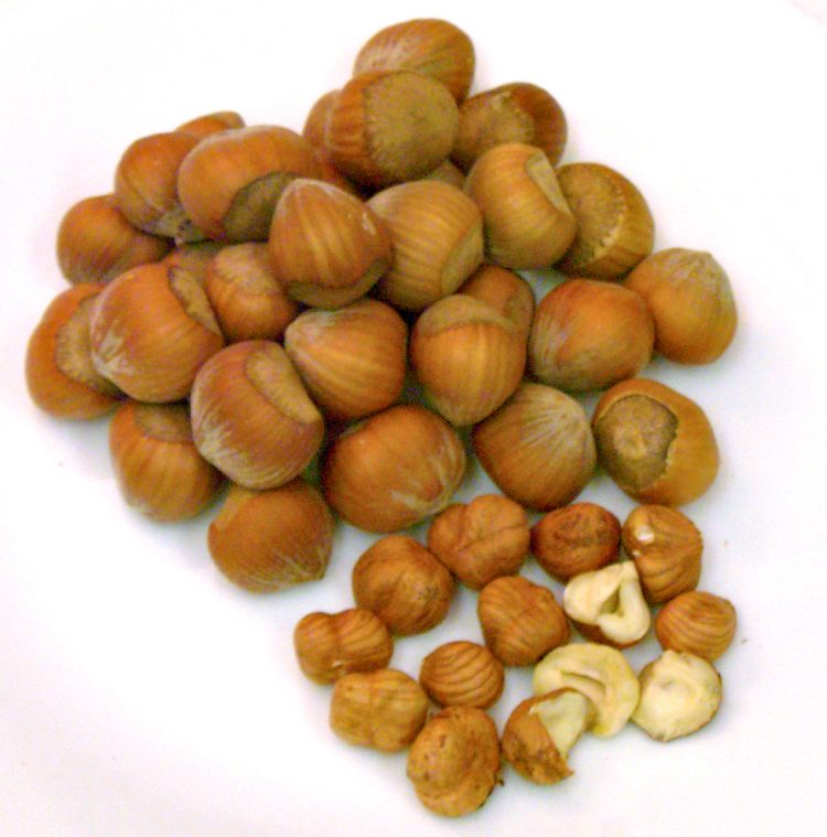 Hazelnut cooking tips, measures, and substitutions. Hazelnuts are also known as filberts or cobnuts.