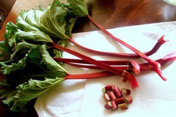Rhubarb Cooking Tips: Learn the history of rhubarb, how to select and store, plus health effects.