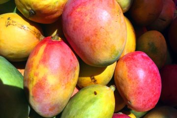 Mango Cooking Tips: These are mangos in various stages of ripeness.